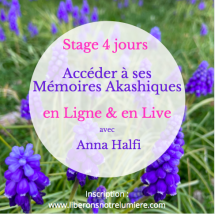 Stage en Ligne et Live Mémoires Akashiques Anna Halfi