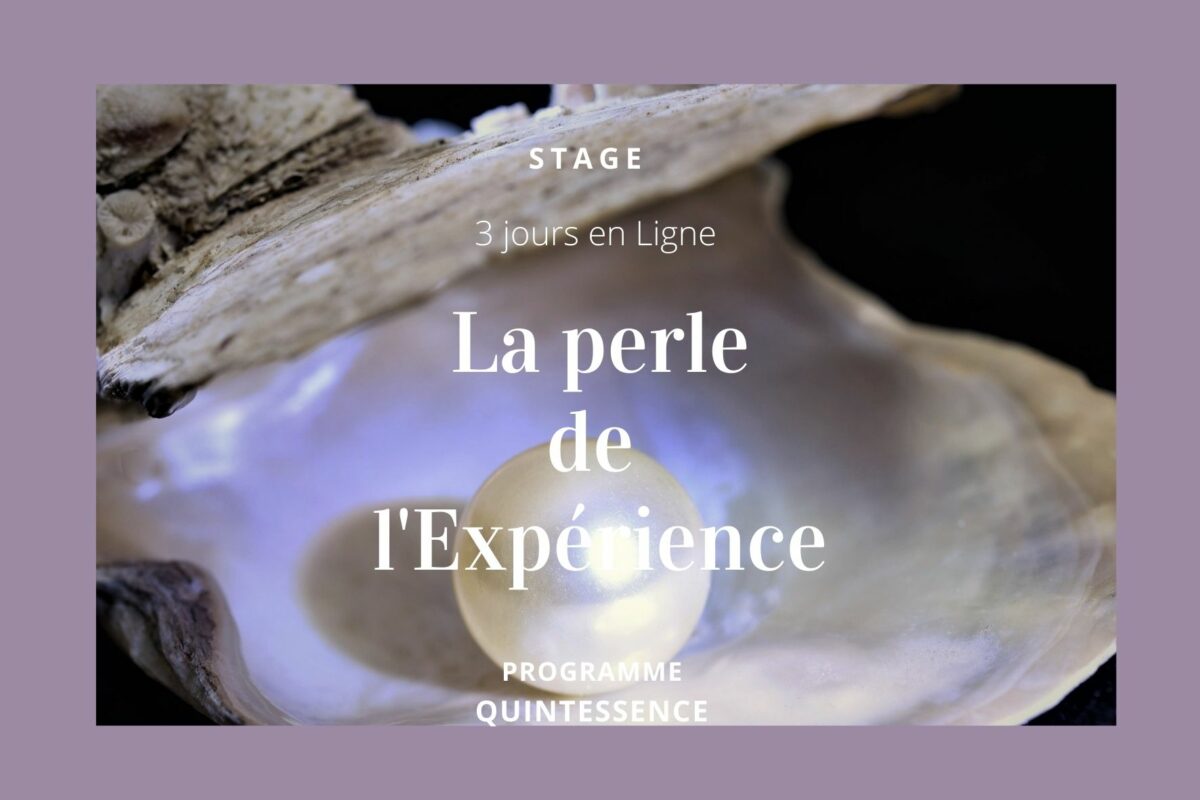 La perle de L'expérience - Stage